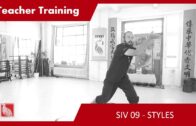 Teacher Training SIV 09 – Styles