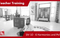 Teacher Training SIV 10 – 6 Harmonies and Pelvis Circle Focus 1-6