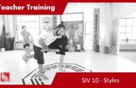 Teacher Training SIV 10 – Styles