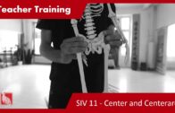 Teacher Training SIV 11 – Center Point – Center Area – Three Harmonies – Teaching Methods