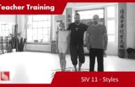 Teacher Training SIV 11 – Styles