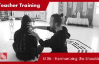 Teacher Training S1 06 – Harmonizing the Shoulder – Principle Of Earth