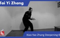 TAI YI ZHANG MASTERCLASS 01:  Xiao Yao Zhang – Pushing The Grass Aside