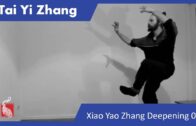 TAI YI ZHANG MASTERCLASS 02: Xiao Yao Zhang – The Two Immortals
