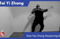 TAI YI ZHANG MASTERCLASS 03: Xiao Yao Zhang – The Tree sends its roots into the Ground