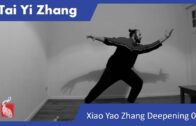 TAI YI ZHANG MASTERCLASS 04: Xiao Yao Zhang – Big Wild Goose Spreads Out