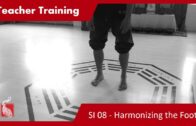 Teacher Training S1 08 – Harmonizing the Foot