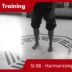 Teacher Training S1 08 – Harmonizing the Foot