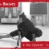 6 Hip Opener – Basic Stretching