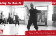 GONG FU BASICS 02 – Step In Ma Bu & Falling Palm