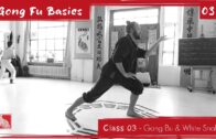 GONG FU BASICS 03 – Gong Bu and White Snake