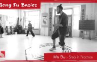 Ma Bu – Step In Practice