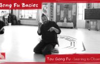 Tou Gong Fu – Learning How To Observe Movement