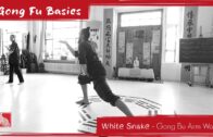White Snake – Gong Bu Arm Practice