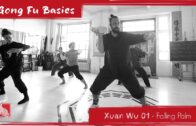 Xuan Wu Basic 01 – Falling Palm Step by Step