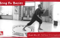 Xuan Wu Basic 01 – Full Basic & Application Idea