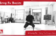Qi Long Bu – Riding The Dragon Stance Qi Long Bu – Riding The Dragon Stance