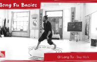 Qi Long Bu – Step Work Qi Long Bu – Step Work