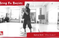 Spiral Skill – White Snake Deepening II