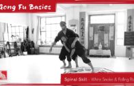 Spiral Skill – White Snake & Falling Palm Deepening