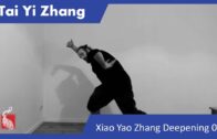TAI YI ZHANG MASTERCLASS 05 – The Sparrow Glides over the Water