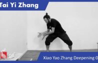 Tai Yi Zhang Masterclass 07 – The Tiger jumps onto the Pray