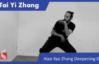 Tai Yi Zhang Masterclass 06 – The White Snake spits Poison