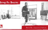 Du Li Bu – Keypoints and Methods