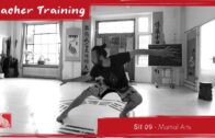 Teacher Training S2 05 – 100 Days Cultivating Jing – Tai Ji Step 06