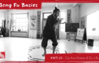 Xuan Wu Basic 03 – Du Li Bu + Cai Motion – Golden Rooster