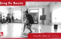 Xuan Wu Basic 03 – Full Basic