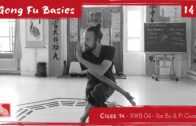 GONG FU BASICS 14 – Xuan Wu Basic 04 – Xie Bu & Pi Gua