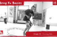 GONG FU BASICS 13 – Xuan Wu Basic 03 – One Leg Skills