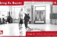 GONG FU BASICS 15 – Xuan Wu Basic 04 – Ban Ma Bu and Pi Gua Snake