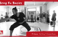 Pi Gua – Splitting Hands – Xing Yi Snake Full Basic