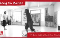 Pi Gua – Splitting Hands – Xing Yi Snake