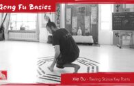 Xie Bu – Resting Stance Key Points