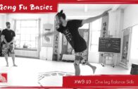 Xuan Wu Basic 03 – One Leg Balance Skills