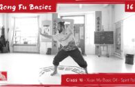 GONG FU BASICS 16 – Xuan Wu Basic 04: Sprit Palm