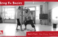Spirit Palm – Shen Zhang: Basic 04 Part II