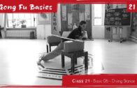 GONG FU BASICS 21: Xuan Wu Basic 06 – Gliding Swallow GONG FU BASICS 21: Xuan Wu Basic 06 – Gliding Swallow