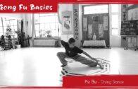 Pu Bu – Diving Stance Pu Bu – Diving Stance