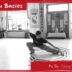 Pu Bu – Diving Stance