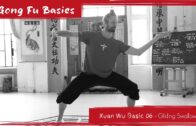 Xuan Wu Basic 06 – Swallow Glides of the Water Xuan Wu Basic 06 – Swallow Glides of the Water