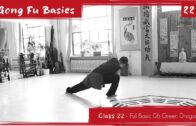 GONG FU BASICS 22: Xuan Wu Basic 06 – Full Basic Green Dragon GONG FU BASICS 22: Xuan Wu Basic 06 – Full Basic Green Dragon