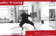 Teacher Training S2 08 – The Six Harmonies – Step 9 Deepening