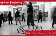 Teacher Training S2 08 – The Six Harmonies – Step 9 Deepening