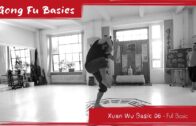 Xuan Wu Basic 06 – Full Basic Green Dragon Diving into the Ocean Xuan Wu Basic 06 – Full Basic Green Dragon Diving into the Ocean